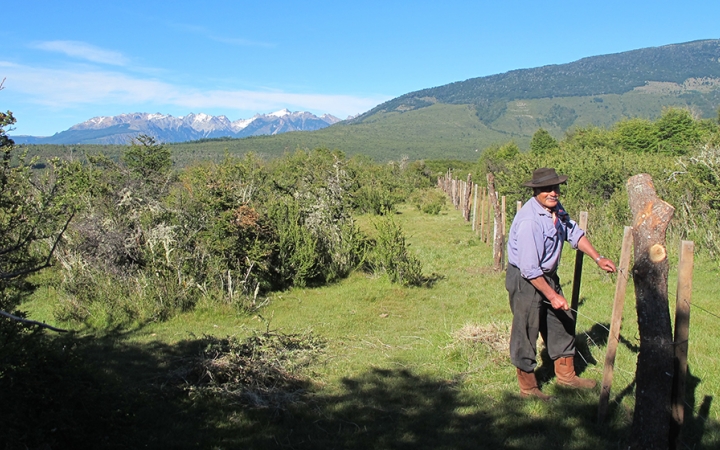 A person stands near a fence in a green area, surrounded by shrubs. In the background there are mountains. 